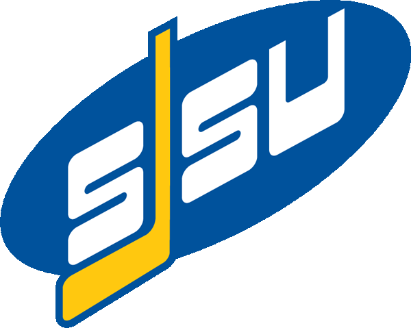 San Jose State Spartans 1996-Pres Alternate Logo diy DTF decal sticker